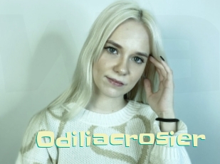 Odiliacrosier