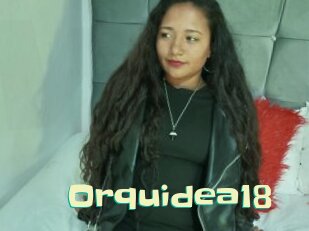 Orquidea18