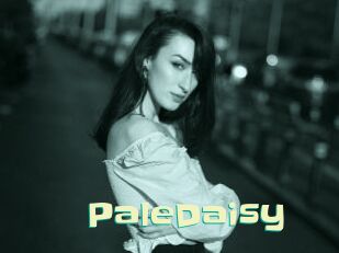 PaleDaisy