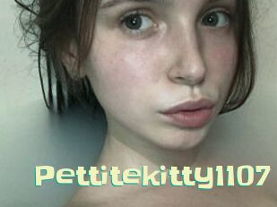 Pettitekitty1107