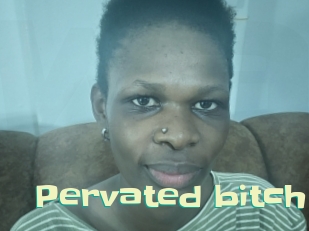 Pervated_bitch