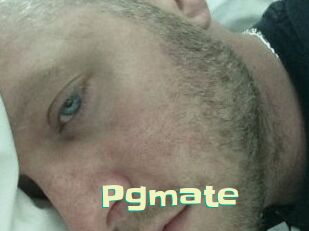 Pgmate