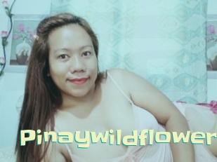 Pinaywildflower