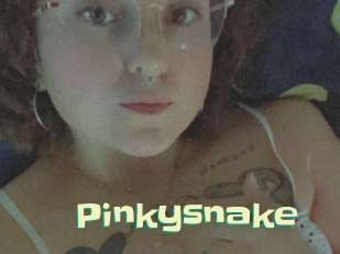 Pinkysnake