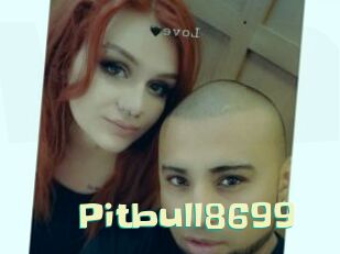 Pitbull8699