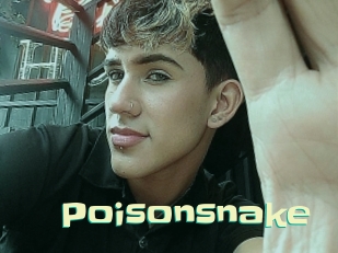 Poisonsnake