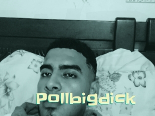 Pollbigdick