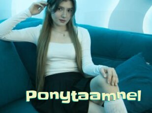 Ponytaamnel