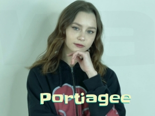 Portiagee