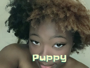 Puppy