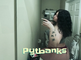 Pytbanks