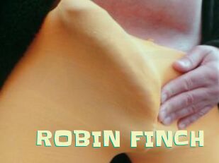 ROBIN_FINCH