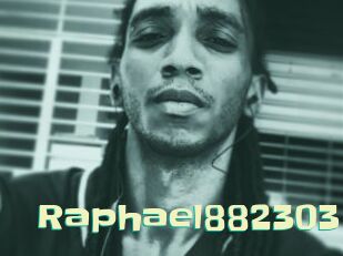 Raphael882303