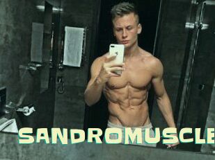 SANDRO_MUSCLE