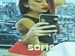 SOFI_G