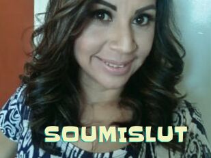 SOUMISLUT