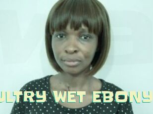 SULTRY_WET_EBONY