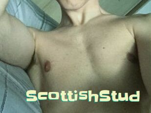 Scottish_Stud