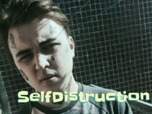 SelfDistruction