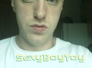 SexyBoyToy