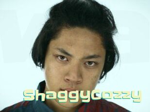 ShaggyCozzy