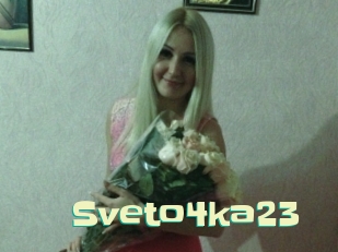 Sveto4ka23