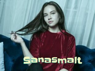 Sanasmalt