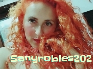 Sanyrobles202