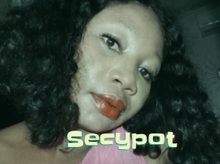 Secypot