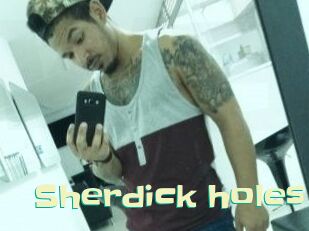 Sherdick_holes