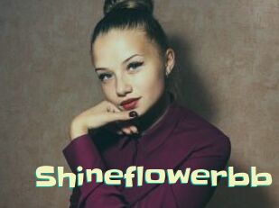 Shineflowerbb