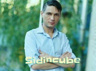 Sid_incube