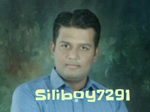 Siliboy7291