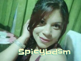 Spicybdsm