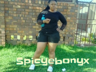 Spicyebonyx