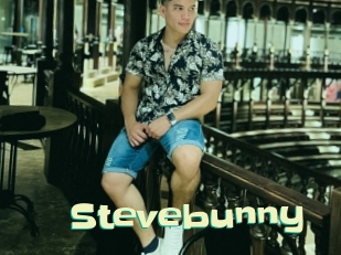 Stevebunny