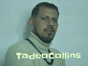 TadeoCollins