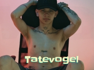 Tatevogel