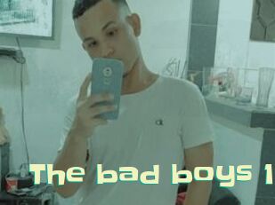 The_bad_boys_1