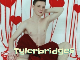 Tylerbridges