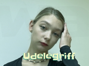 Udelegriff