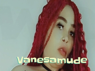 Vanesamude