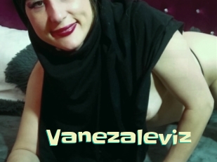 Vanezaleviz