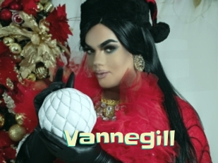 Vannegill