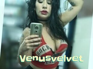 Venusvelvet