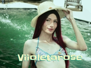 Viioletarose