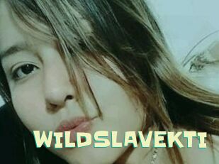 WILDSLAVEKTI