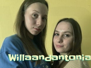 Willaandantonia