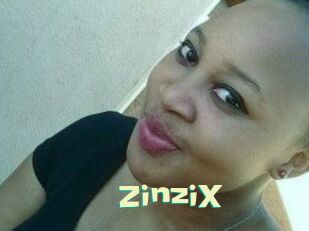 ZinziX